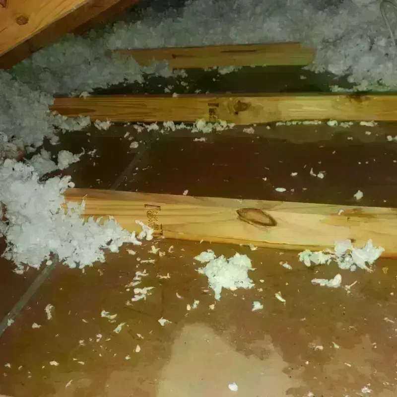 Attic Water Damage in Ligonier, PA